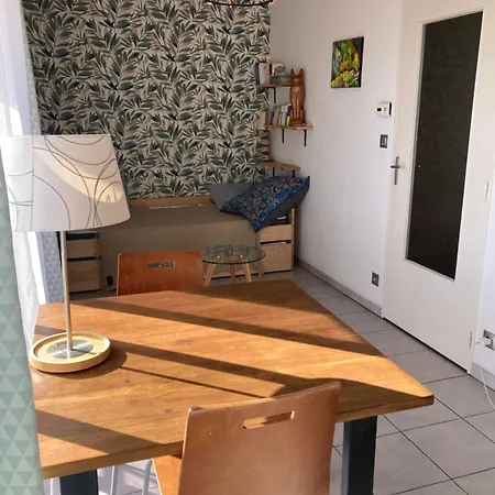 Proche Gare Et Jardin Des Plantes Apartment Nantes
